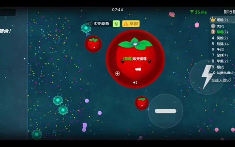 球球大作战如何禁止[图2]