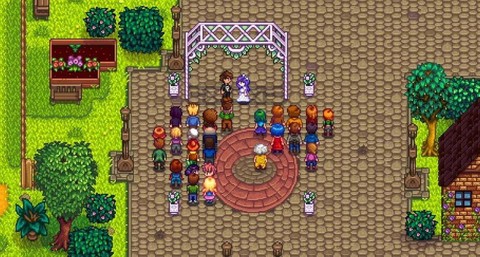 星露谷物语怎么结婚啊[图2]