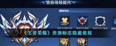 王者荣耀怎么去除贵族