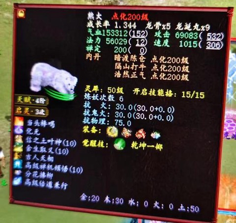 大话2敏魔带什么宝宝好